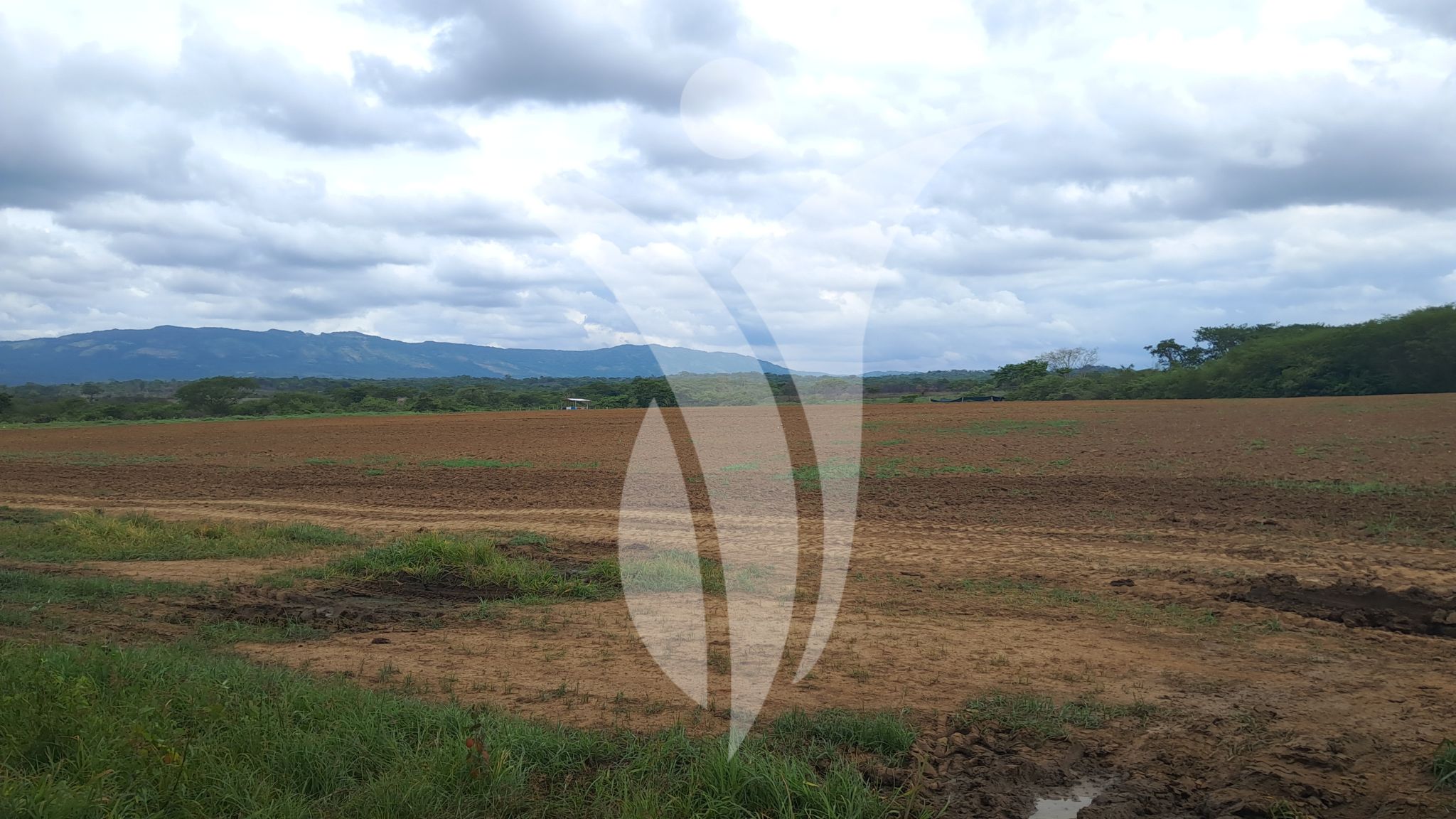 Competencias Gerenciales en el Sector Agropecuario Inagrofar